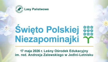 Święto Polskiej Niezapominajki